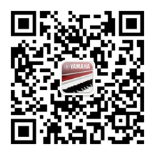 国际代言 全国甄选键盘达人 ——首届AG真人电子键盘比赛正式启动